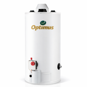 CINSA BOILER GAS LP 10 GAL 38 L OPTIMUS 3270066