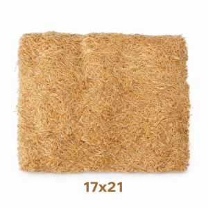 COJIN DE EXCELSIOR 17 X 21 EN BOLSA 2000