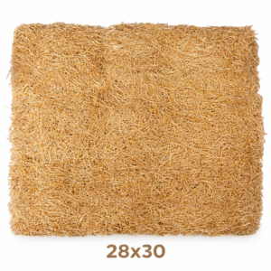 COJIN DE EXCELSIOR 28 X 30 EN BOLSA 4500